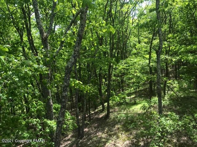 0 Wilson Ct unit PM-89790, Saylorsburg, PA 18353 - photo 1
