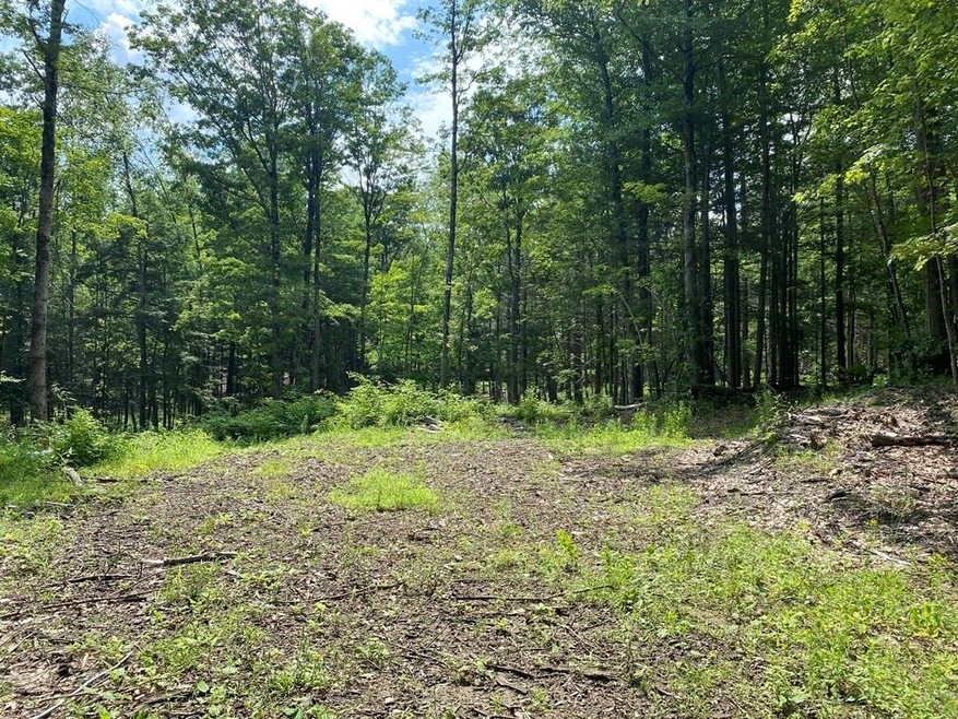 Lot 13 Howes Rd, Buckland, MA 01370 - photo 1