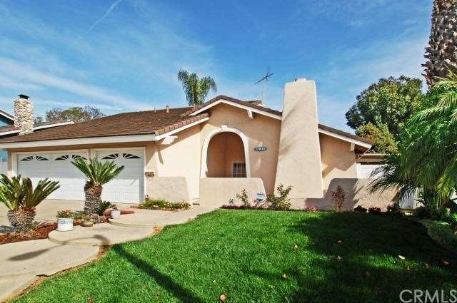 Front - Beautiful Palm Trees and Lush lawn - Court