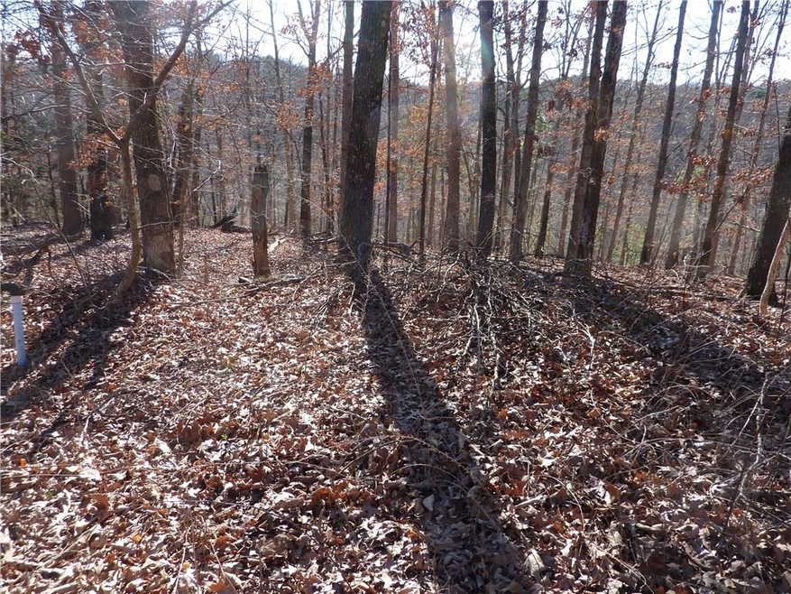 0 Hanney Ln unit 1040398, Bella Vista, AR 72714 - photo 1