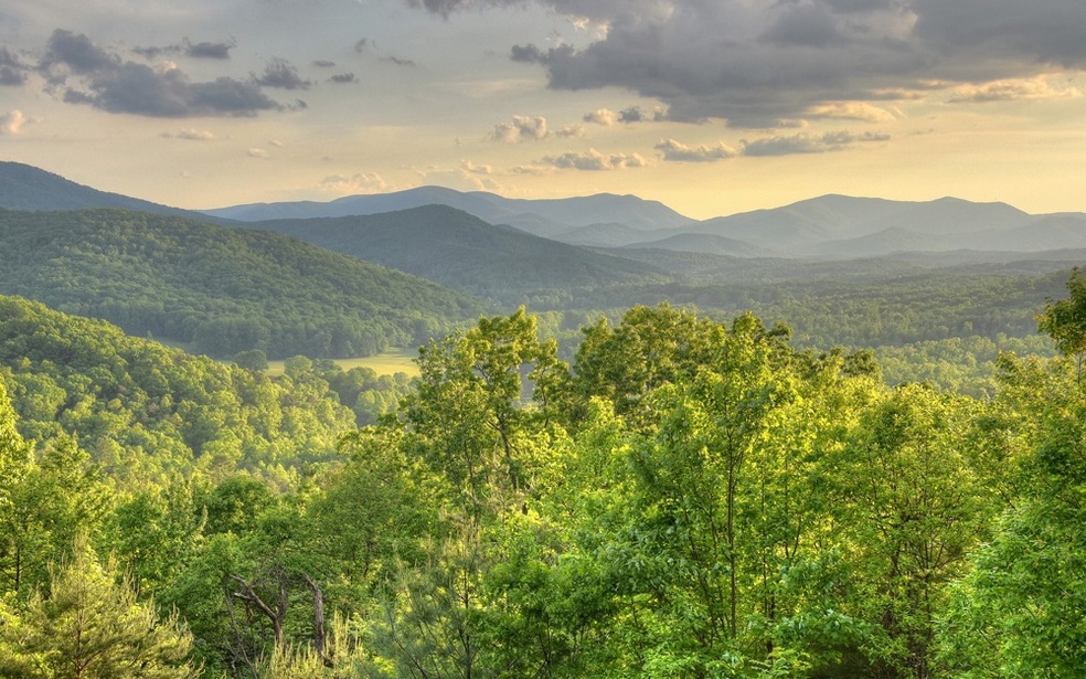 460 Forest Dr, Morganton, GA 30560 - photo 1