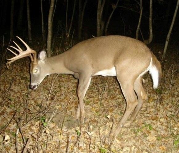 N8573 County Road H, Camp Douglas, WI 54618 - photo 1