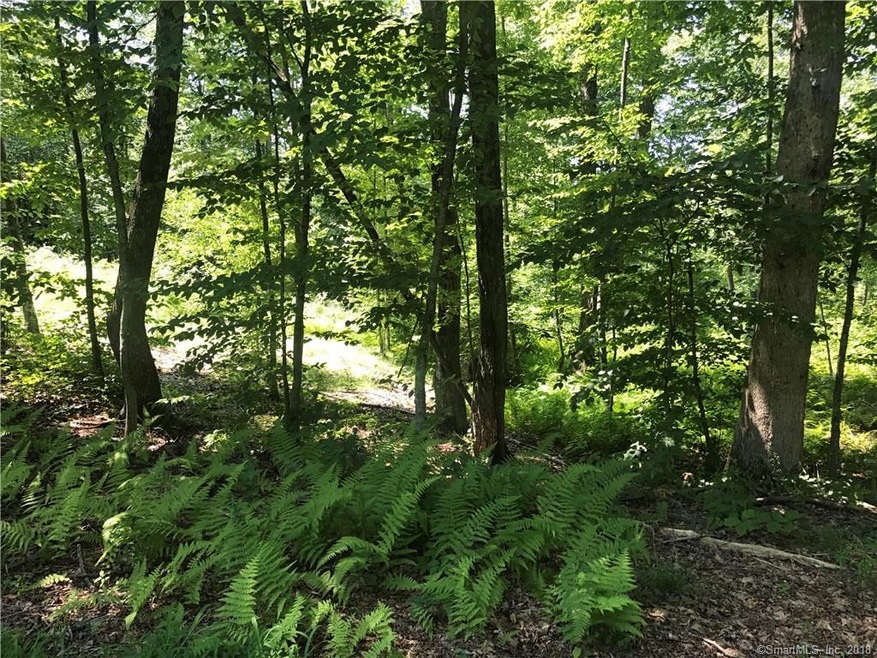 158 Wheeling Rd, Andover, CT 06232 - photo 1