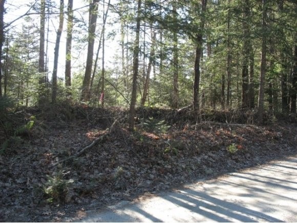 0 Faraway Rd unit 4142740, Dalton, NH 03598 - photo 1