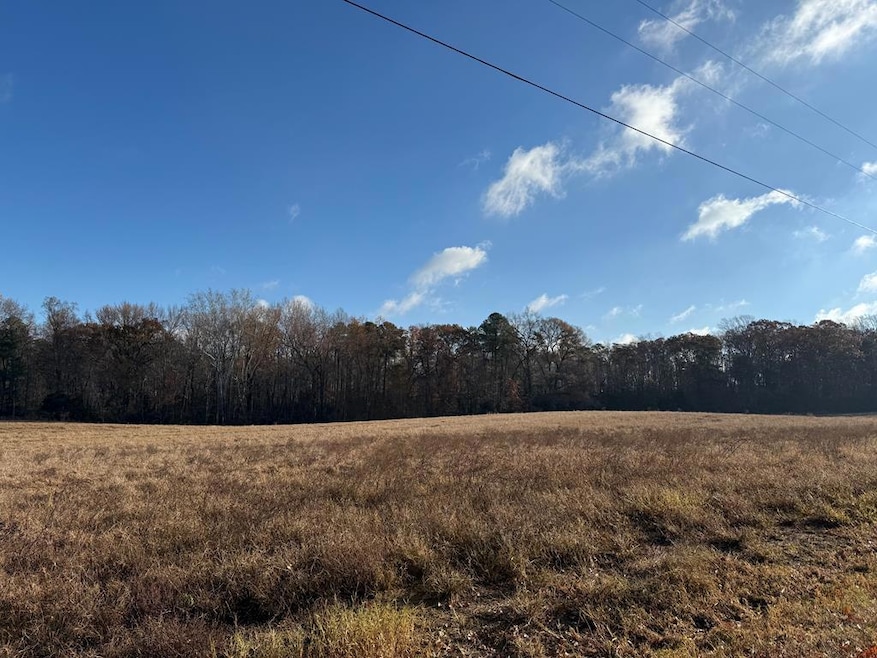 001 Carter Town Rd, Warsaw, VA 22572 - photo 1