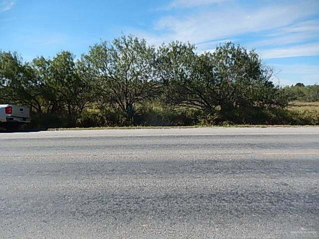 9547 S Fm 493, Donna, TX 78537 - photo 1