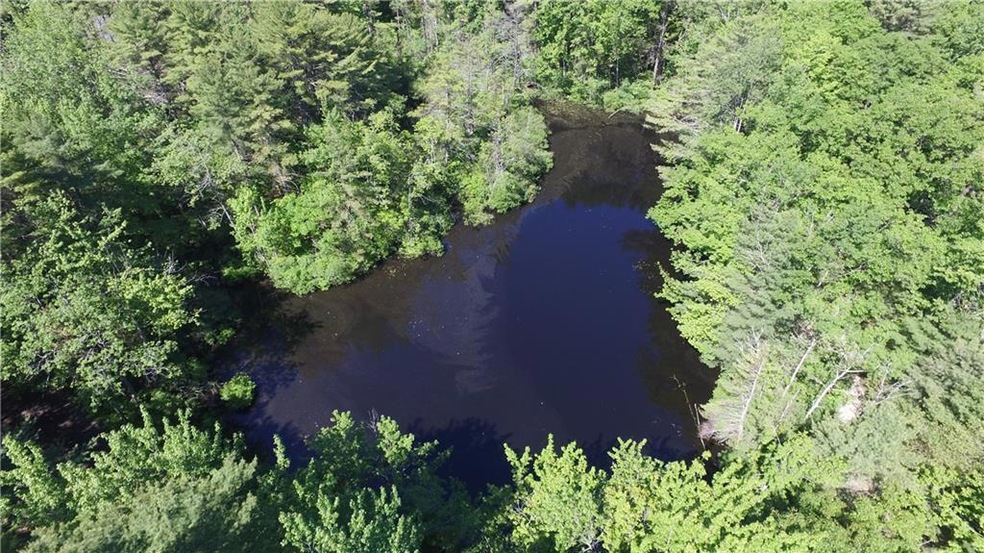 Pond