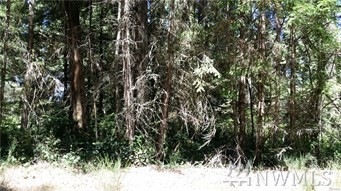 11119 Breaker Way, Anderson Island, WA 98303 - photo 1