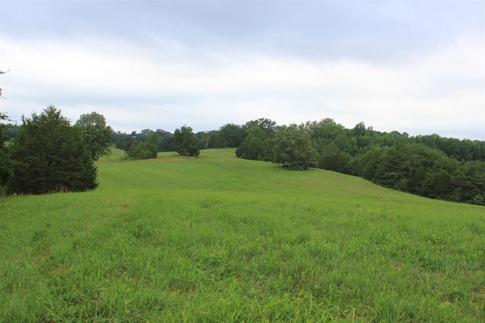 0 Goodbar Rd unit RTC1692001, Mc Minnville, TN 37110 - photo 1