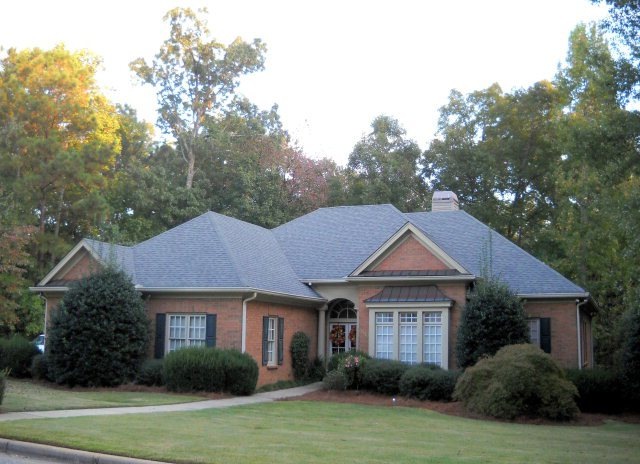Main View