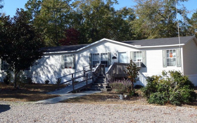 Main View