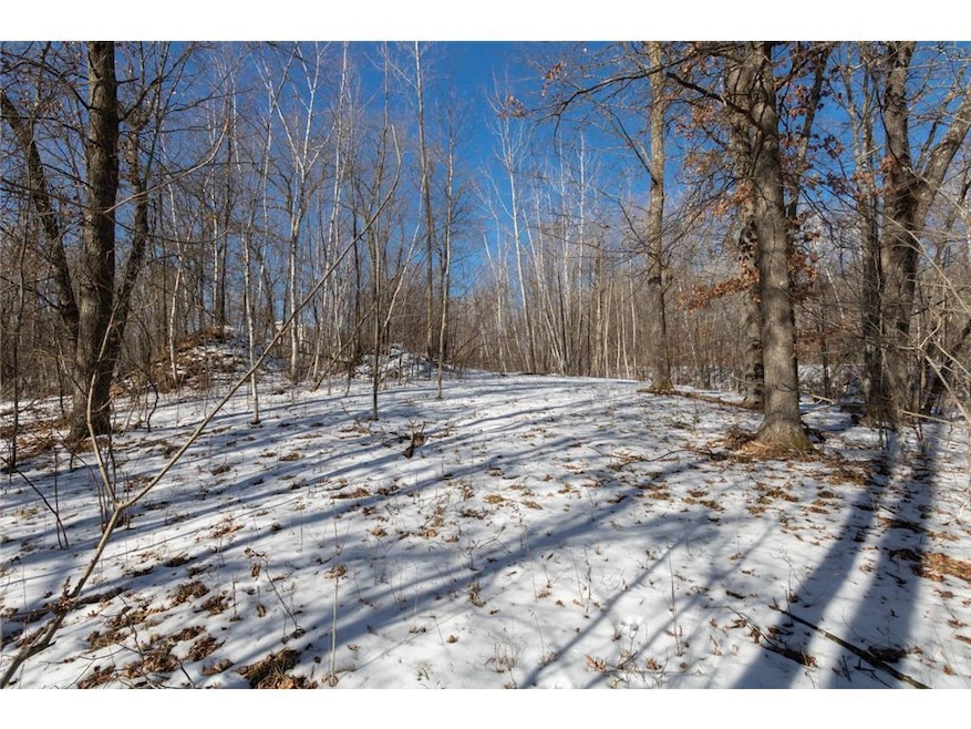 Lot 12 133rd St, Balsam Lake, WI 54001 - photo 1