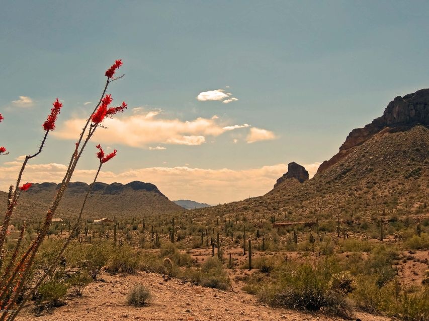 Welcome Home to San Tan Ranches!