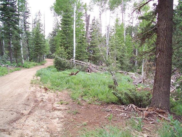 1460 W View Dr unit ZVME A-11, Duck Creek Village, UT 84762 - photo 1