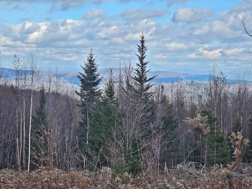 706 Vt Route 100, Stratton, VT 05360 - photo 1