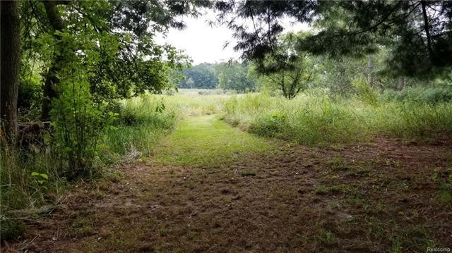 long driveway will take you back to open area