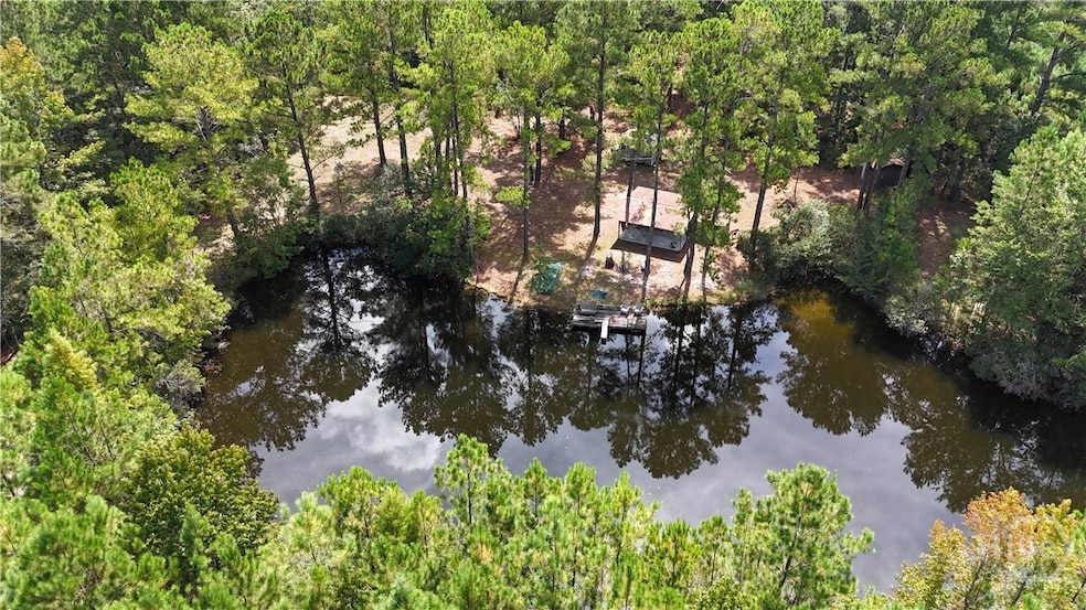 0 Stillwell Clyo Rd unit SA340237, Springfield, GA 31329 - photo 1