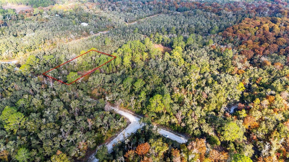 0 Rose Bloom Lot 7 Ave unit MFRTB8450296, Webster, FL 33597 - photo 1