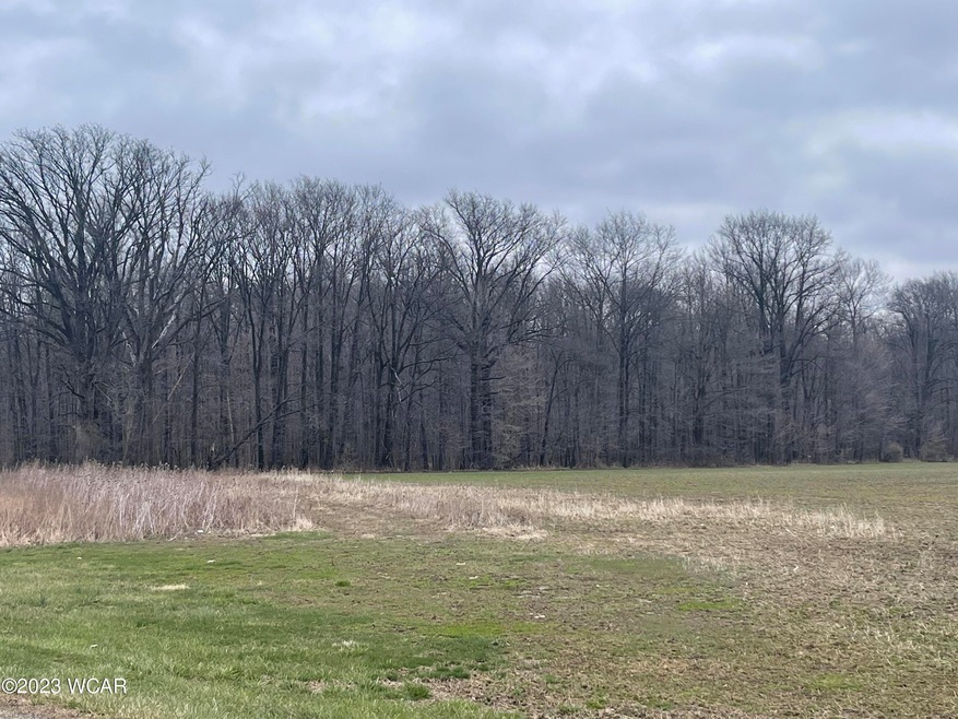 0000 Reichelderfer Rd, Wapakoneta, OH 45895 - photo 1