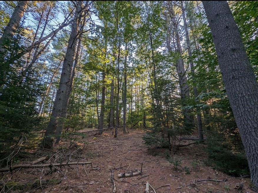 LAND (LOT A)
