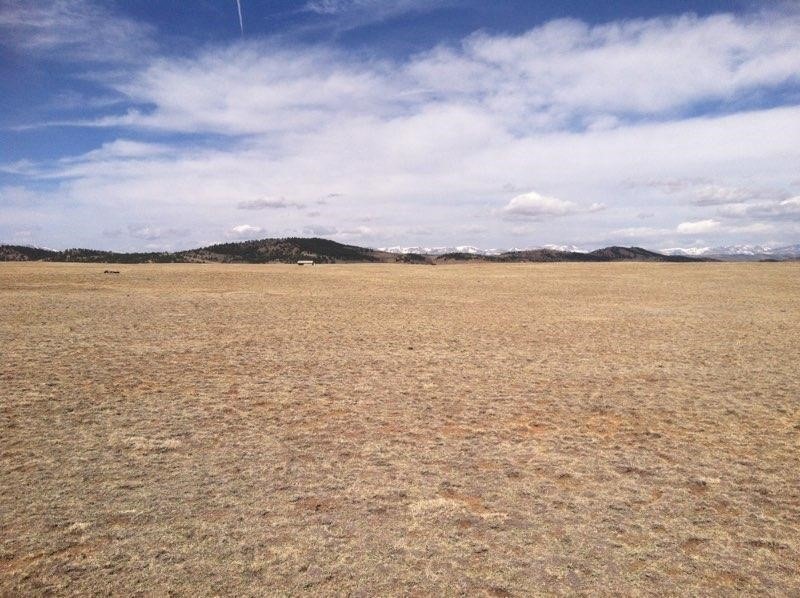 0 Raven Ln unit S1040890, Hartsel, CO 80449 - photo 1
