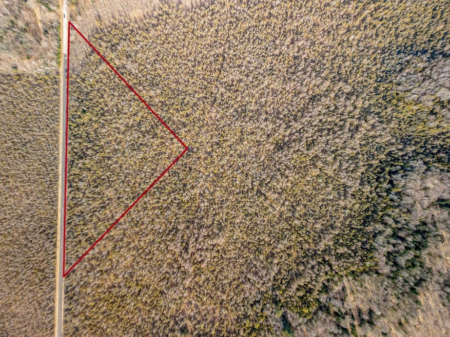 0 Right of Way Rd, Porterfield, WI 54159 - photo 1