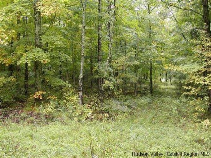 tbd N Chodikee Lake Rd, Highland, NY 12528 - photo 1