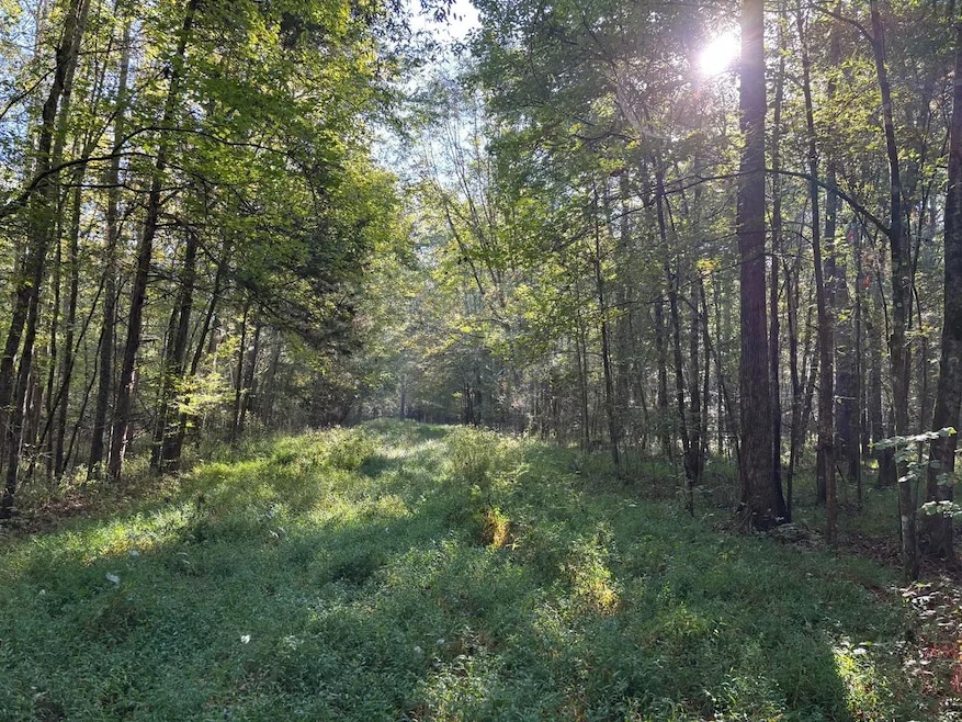 000 Hwy 9, Eupora, MS 39744 - photo 1