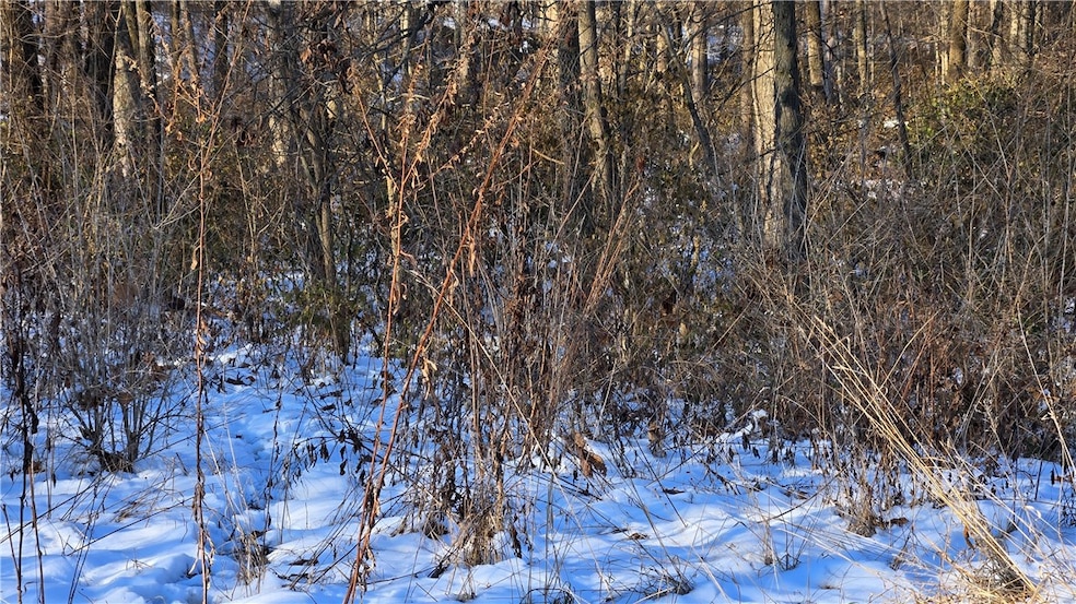 0 Sec 23-7-3e N10a Nw NE unit 6256312, Saint Elmo, IL 62458 - photo 1