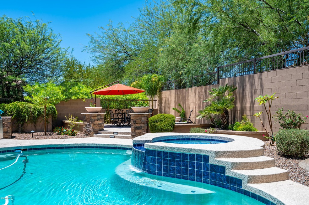 Backyard1