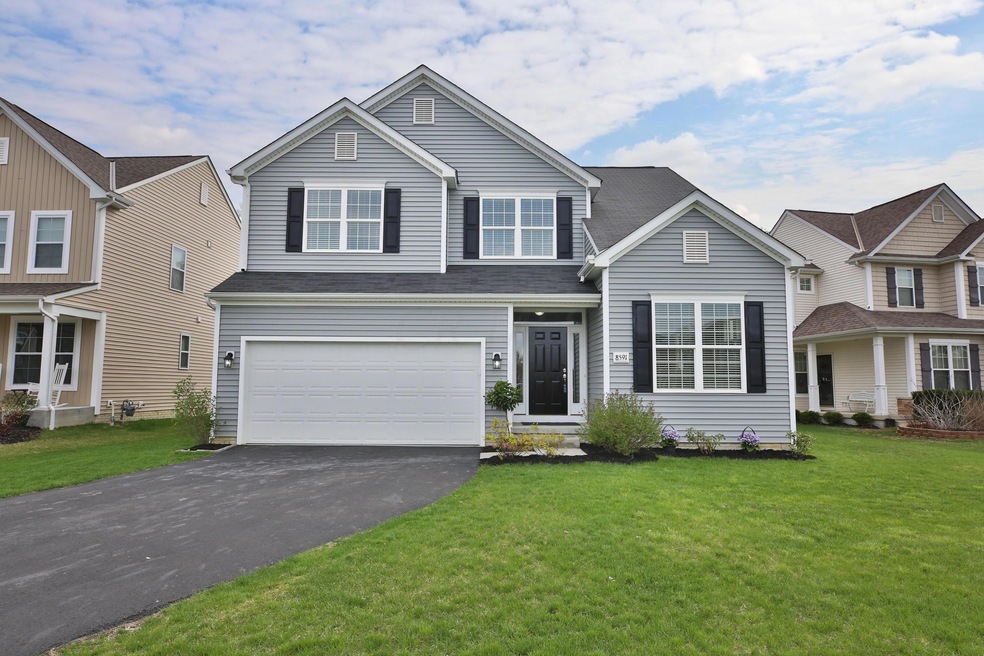 8591-CrookedMaple-05