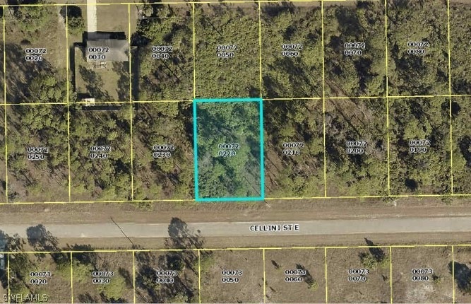 1209 Cellini St E, Lehigh Acres, FL 33974 - photo 1