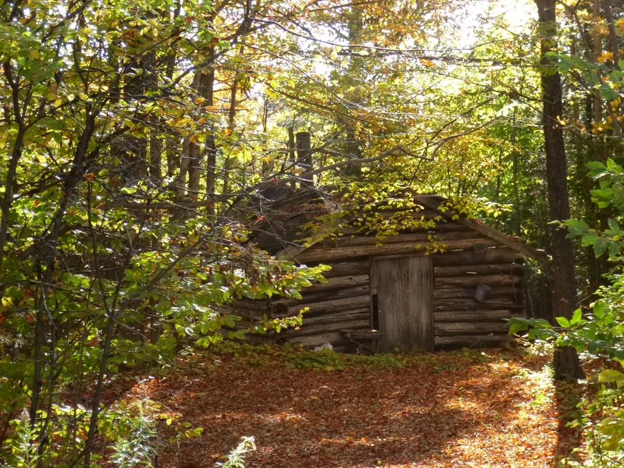 THe Sugar Shack
