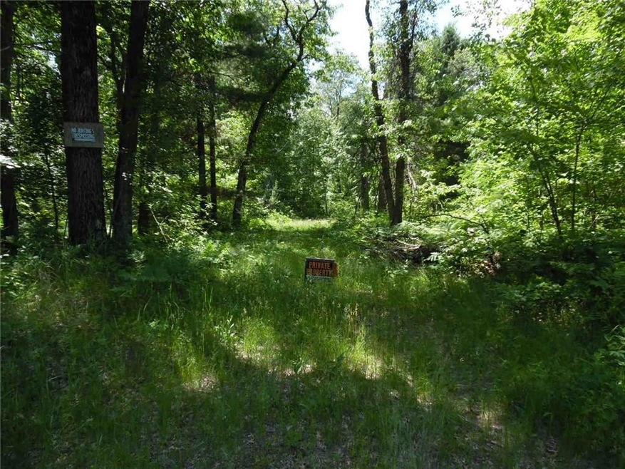 0 Hwy Ff unit 1509502, Webster, WI 54893 - photo 1