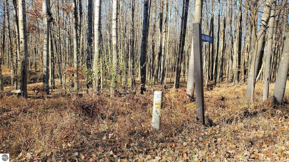 8122 Highland Trail unit 240, Canadian Lakes, MI 49346 - photo 1