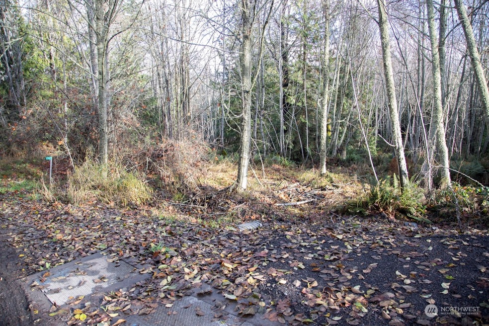 702 Chelsamish Dr, Sequim, WA 98382 - photo 1