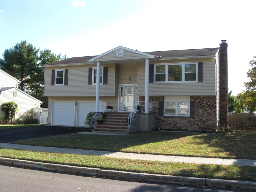 CONIFER FRONT VIEW 1