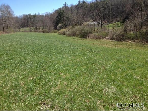 pasture along frontage