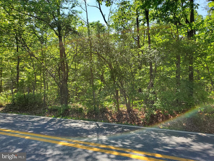 17.08 Acres Apple Harvest Dr, Glengary, WV 25421 - photo 1