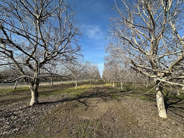 Sold $1,050,000 • Co-Listing Agent