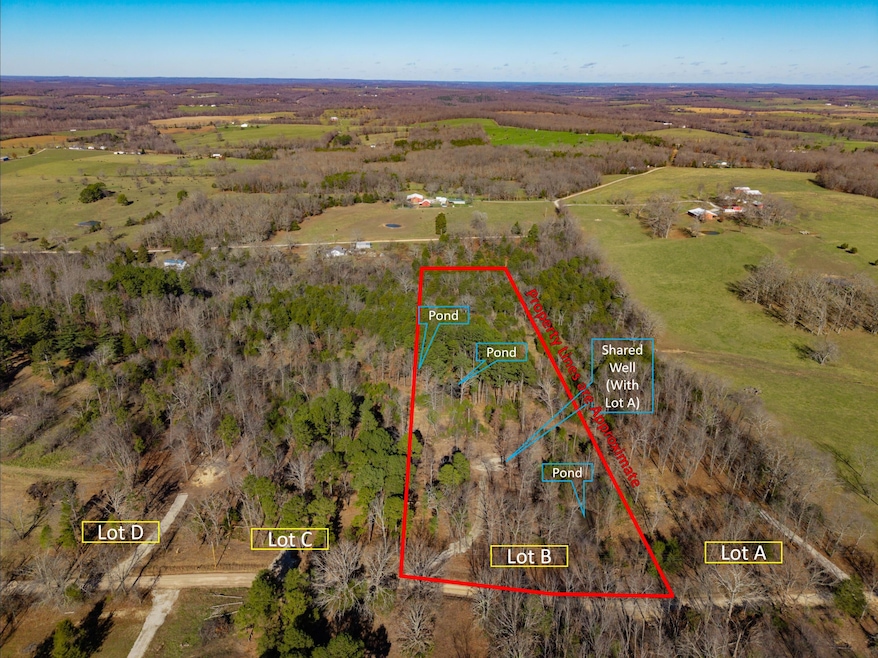 Lot B Malberg Rd, Cabool, MO 65689 - photo 1