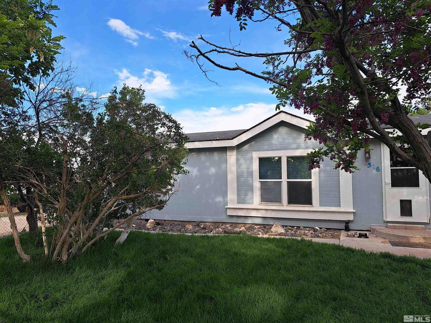 1516 Soda Lake Rd, Fallon, NV 89406 - photo 1