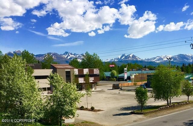 Sunny day views!