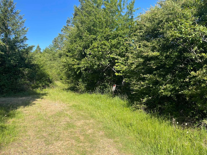 58.04 Acres Linn County ~ Lebanon