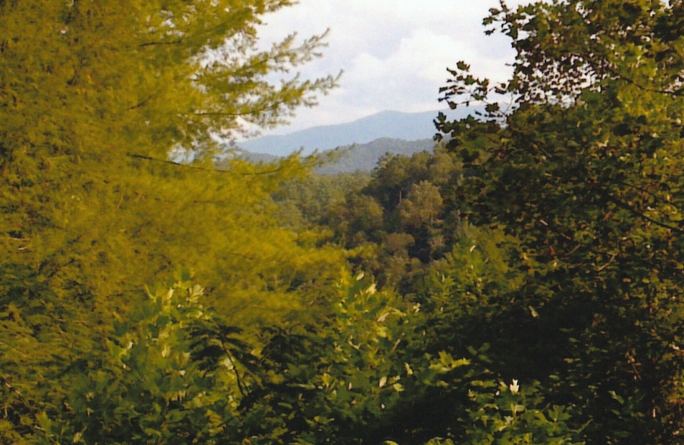 Daxa Way - Mountain View