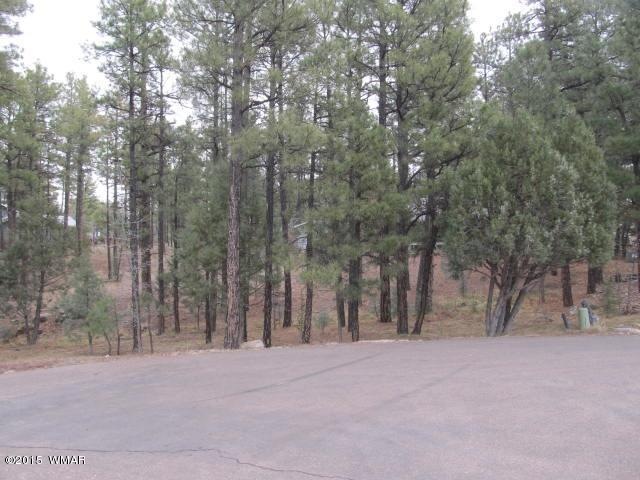 1241N42Drive (3)
