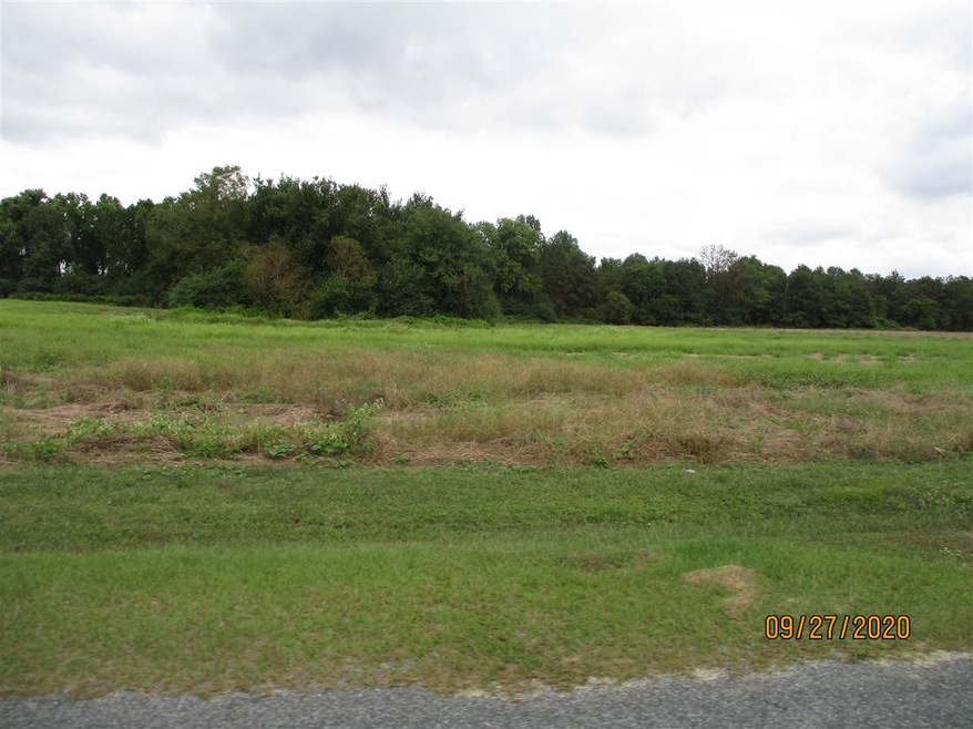 1 Daughtry Town Rd, Halls, NC 28328 - photo 1