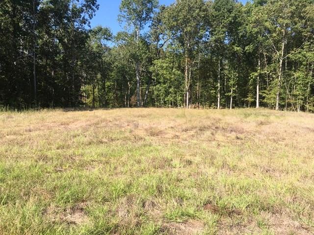 5018 Braemar Park Dr, Oxford, MS 38655 - photo 1