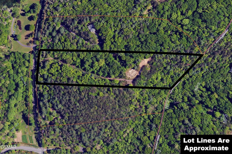 lot