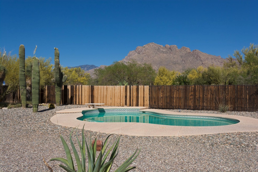 978 W Placita Camillia, Tucson, AZ 85704 - photo 1